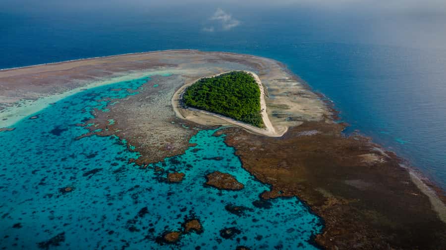 Town of 1770: Lady Musgrave Island Snorkelling Day Cruise - Snorkelling in the Protected Lagoon