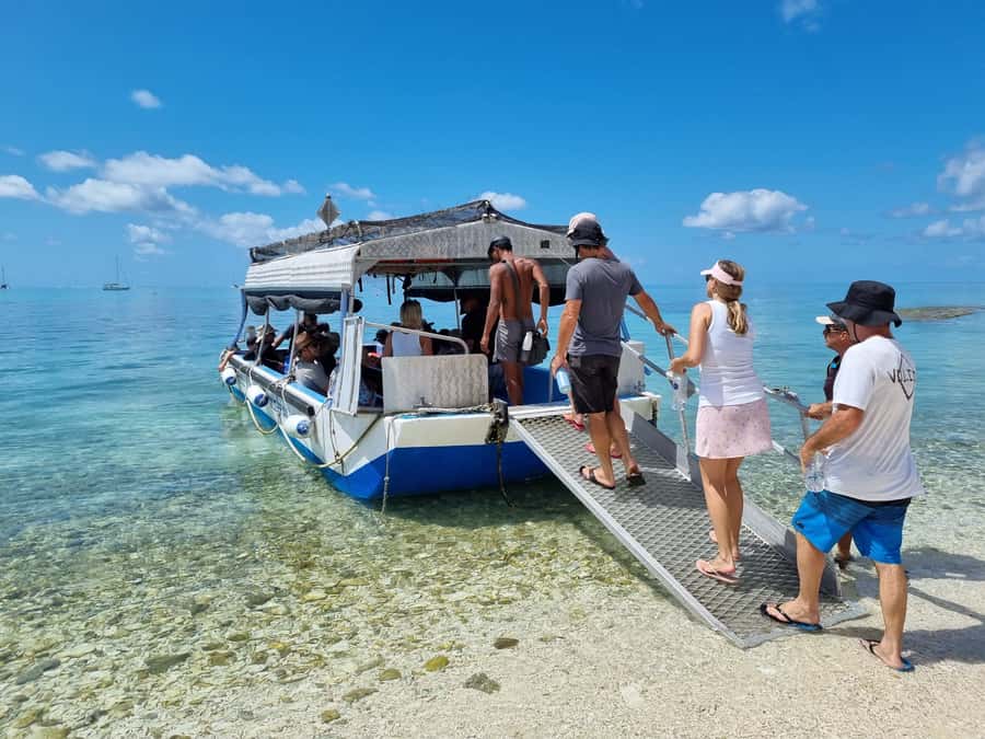 Town of 1770: Lady Musgrave Island Snorkelling Day Cruise - Who Will Get the Most From This Trip?