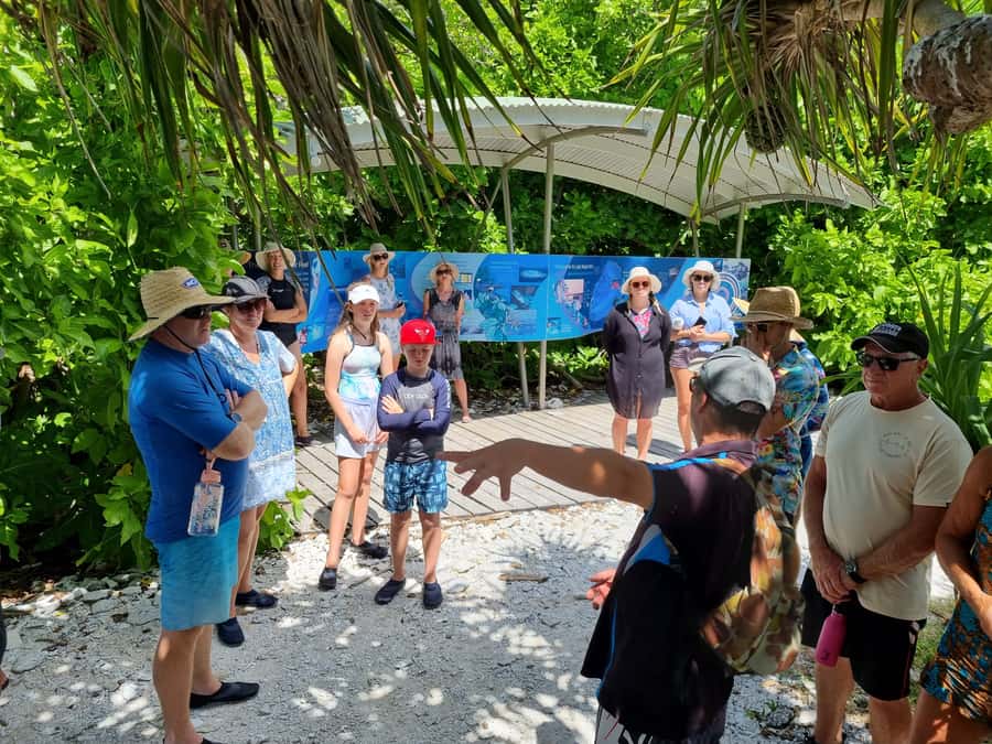 Town of 1770: Lady Musgrave Island Snorkelling Day Cruise - What to Pack for Lady Musgrave