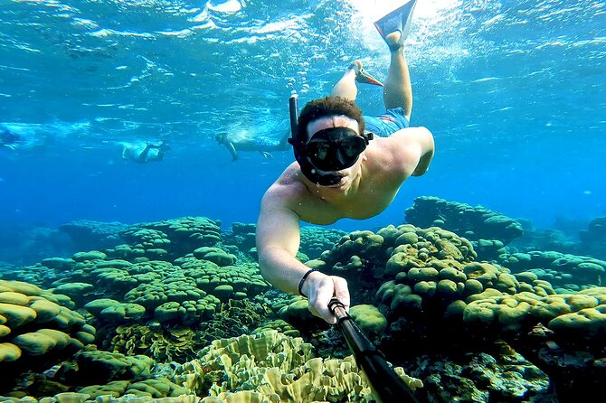 Tropical Dream Snorkel and Dinner Sail in Aruba - Mangel Halto Reef and the first snorkeling stop