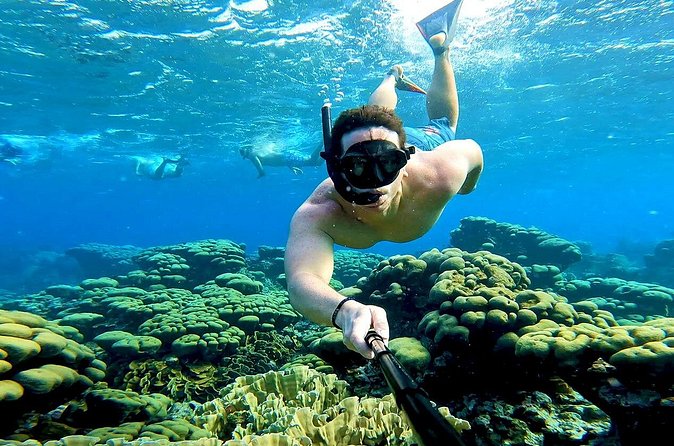 Tropical Dream Snorkel and Dinner Sail in Aruba - Boca Catalina and Aruba’s northern coast
