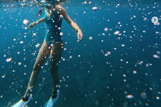 Tropical Reef & Wildlife Boat Snorkel Adventure - A Two-Hour Schedule That Keeps Things Focused