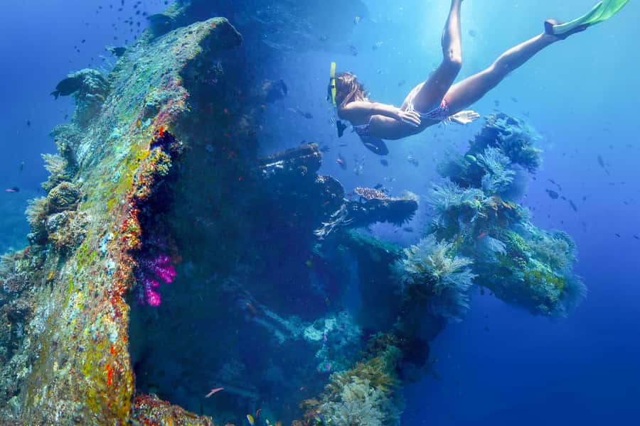 Tulamben: USAT Liberty Shipwreck Full-Day Snorkeling Trip - Key points to know before booking