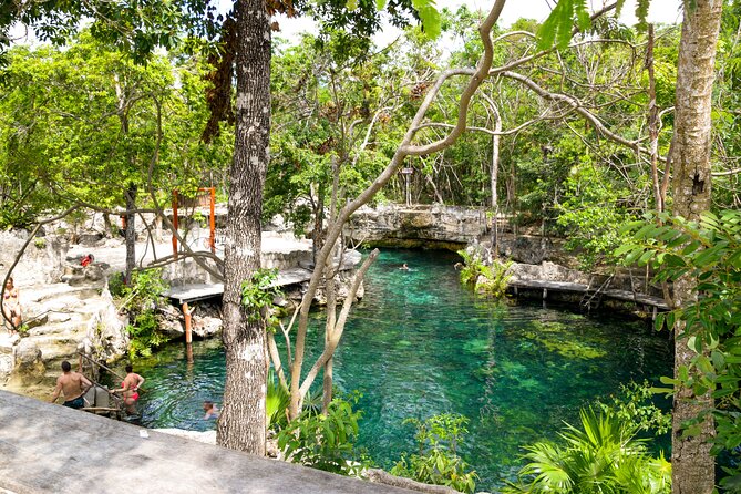 Tulum Akumal Snorkel Tour and 4 Cenotes Small Group All Fees Incl - Akumal snorkeling and the turtle question
