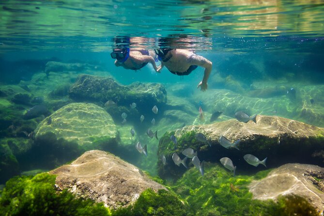 Tulum Guided Tour, Magical Cenote, Lagoon Snorkeling and Beachside Lunch - The long van day and small-group setup