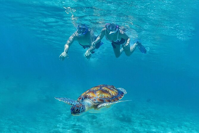 Tulum, Snorkeling with Sea Turtles, Cenote and Beachside Lunch - Tulum ruins: history beside the Caribbean