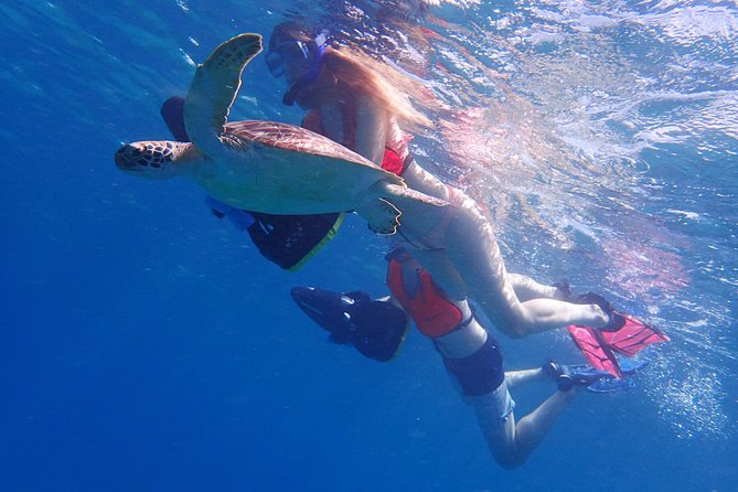Turtle Beach Power Snorkeling Adventure - Preparing at the beach base