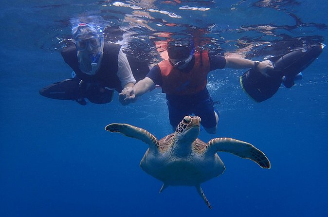 Turtle Beach Power Snorkeling Adventure - The shipwreck and Pillars of Hercules