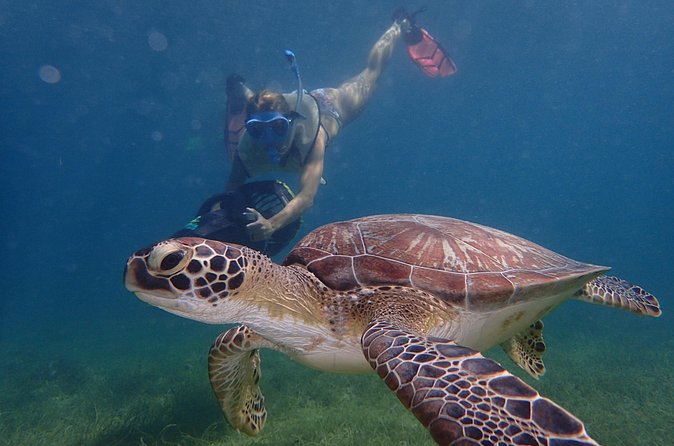 Turtle Beach Power Snorkeling Adventure - Underwater photos without carrying a camera