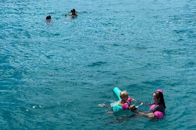 Turtle Canyon Snorkel Adventure in Waikiki, Oahu - Angelfish, Reef Fish, and More Below the Surface