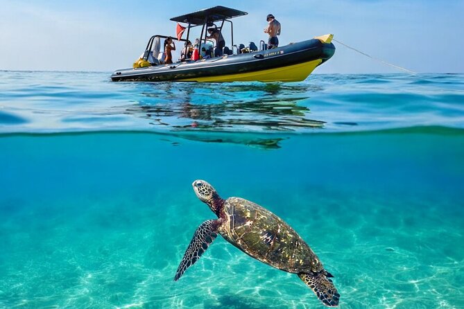 Turtle Canyon Snorkel Adventure - Small Group 6 Passengers - Why six people changes the snorkel experience