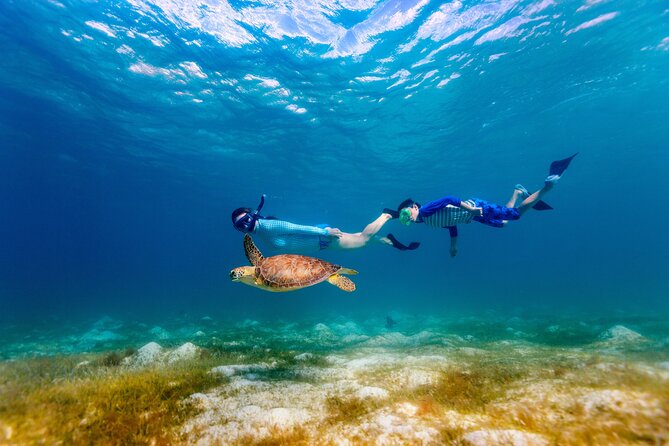 Turtle Canyon Snorkel Adventure - Small Group 6 Passengers - What happens at Turtle Canyon