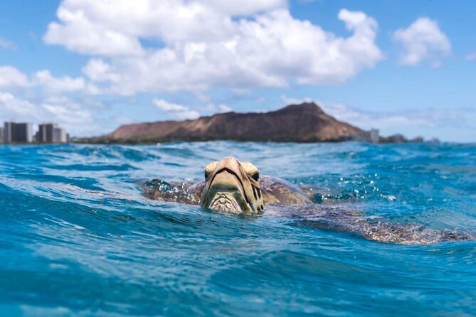 Turtle Canyon Snorkel Adventure - Small Group 6 Passengers - Snacks, water, and the return ride