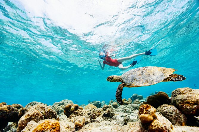 Turtle Canyon Snorkel Adventure - Small Group 6 Passengers - Is $105 a fair price?