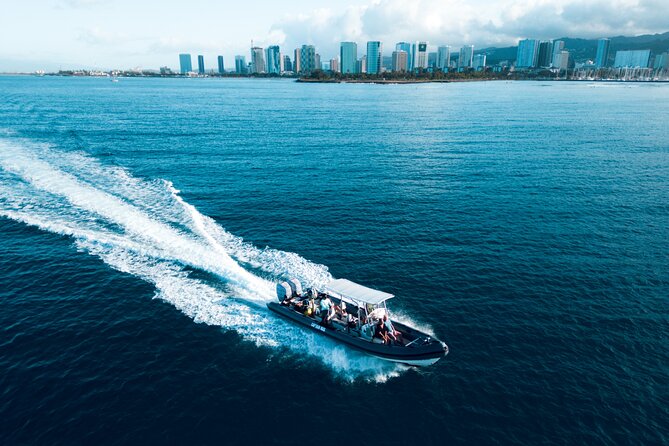 Turtle Canyon Snorkel: Semi Private Boat Tour - What the Turtle Canyon stop is really like
