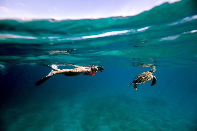 Turtle Cove Catamaran Snorkel and Sail at Little Buck Island STT - What makes this sail worth your afternoon