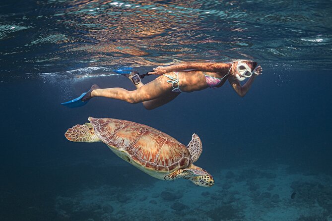 Turtle Snorkeling Aruba: Private Tour with Video - Getting comfortable before the swim