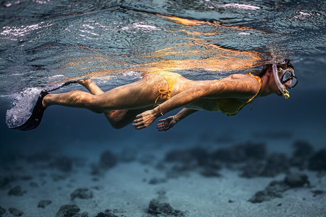 Turtle Snorkeling Aruba: Private Tour with Video - What you see beneath the surface