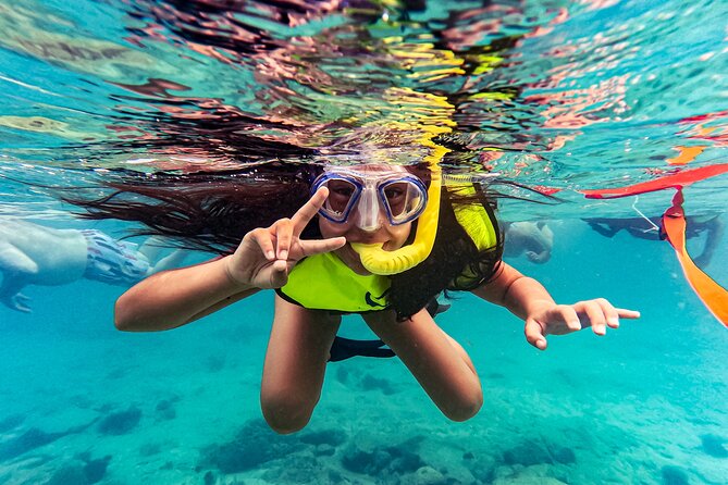 Turtle Snorkeling Tour in Tres Trapi, Aruba - What the two-hour outing feels like