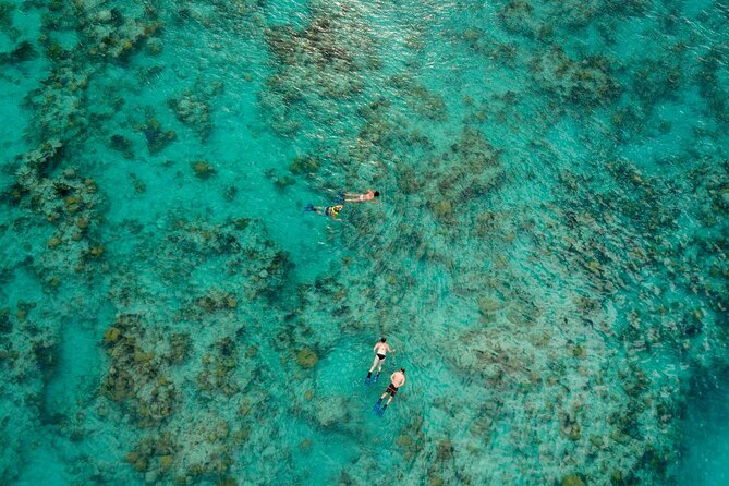 Two Stop Snorkel and Shipwreck from Dockyard - Key points to know before booking