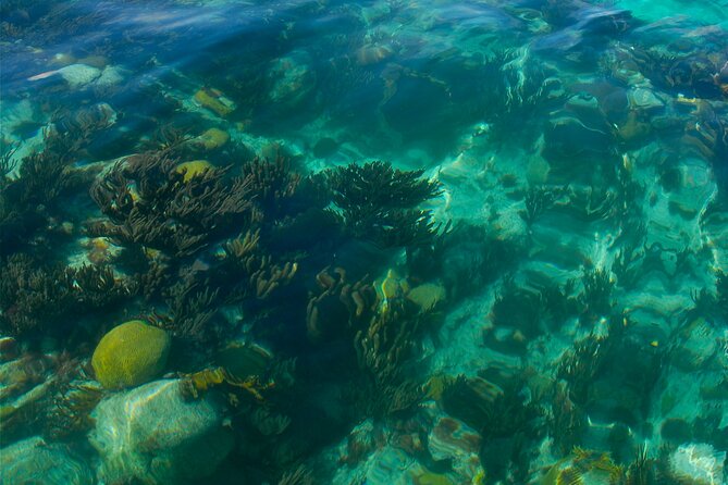 Two Stop Snorkel and Shipwreck from Dockyard - Setting out from Dockyard on a 2.5-hour boat trip