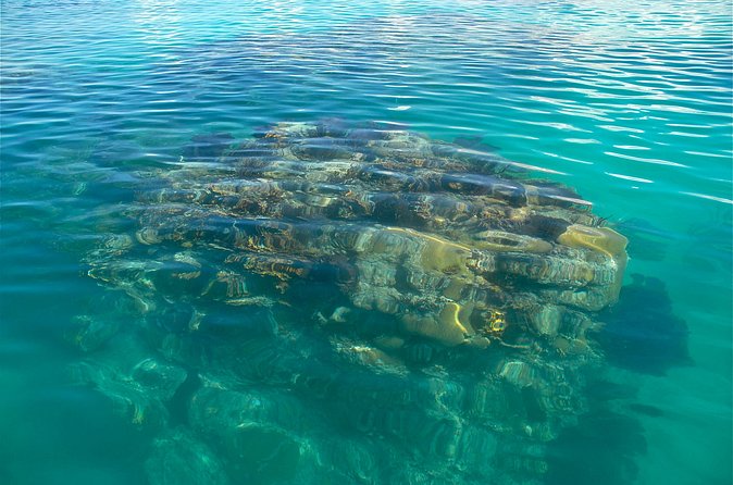 Two Stop Snorkel and Shipwreck from Dockyard - Equipment, swimming ability, and physical demands