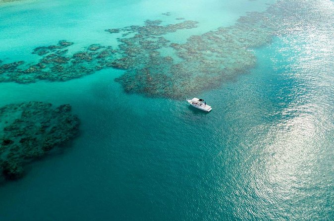 Two Stop Snorkel and Shipwreck from Dockyard - Practical tips for a better day on the water