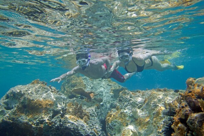 Two Stop Snorkel and Shipwreck from Dockyard - Stop one: snorkeling around a Bermuda shipwreck