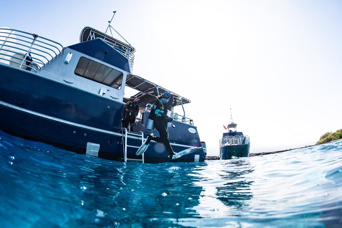 Two Tank Morning Reef Dive and Snorkel - A good choice for mixed groups