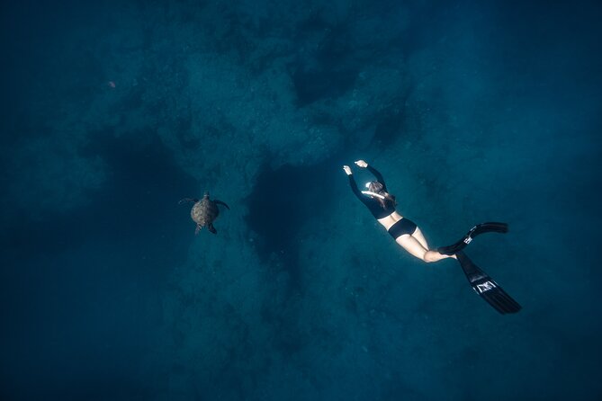 Two Tank Morning Reef Dive and Snorkel - Weather, timing, and cancellation details