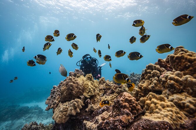 Two Tank Morning Reef Dive and Snorkel - Kona’s volcanic underwater scenery