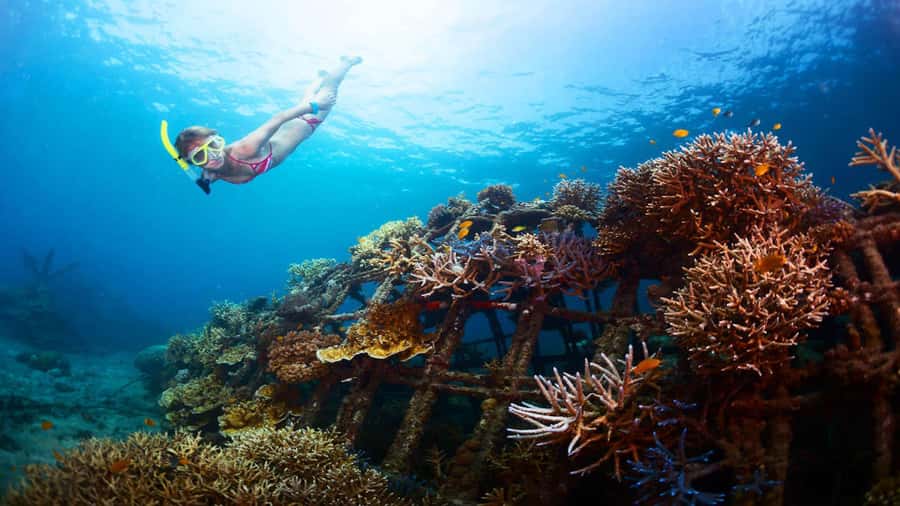 Ubud: Tegenungan Waterfall, Snorkeling, and Canyoning Tour - A full Bali day built around water