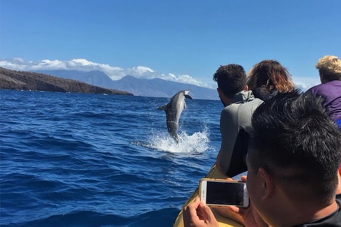 Ultimate 4 Hour Lanai Snorkel and Dolphin Encounter - The Lanai reef and sea cliffs