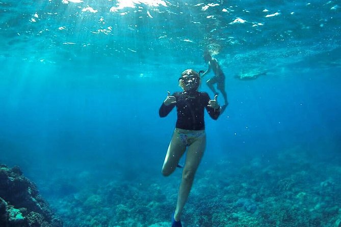 Ultimate 4 Hour Lanai Snorkel and Dolphin Encounter - A boat ride with real ocean conditions