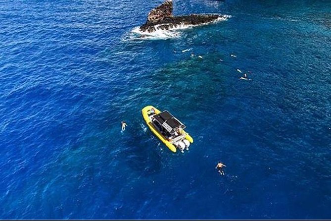 Ultimate 4 Hour Lanai Snorkel and Dolphin Encounter - Is $175 a fair price?