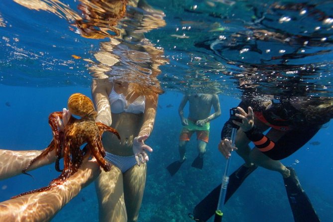 Ultimate 4 Hour Lanai Snorkel and Dolphin Encounter - Who will get the most from this trip?