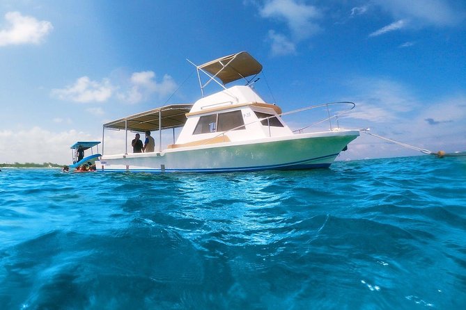 Ultimate 5x1 Combo with ATV, Ziplines, Cenote & Reef Snorkeling - Tacos, sea views, and a short reset