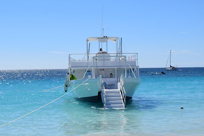 Ultimate Barbados Beach Day And Snorkel Cruise - Carlisle Bay gives you beach time and sea turtles in one outing