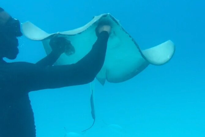 Ultimate Barbados Beach Day And Snorkel Cruise - Small details that make the day easier