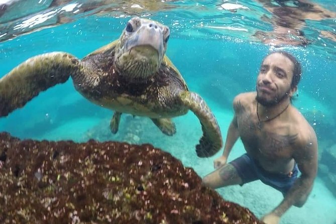 Ultimate Ocean Encounters Midday Snorkel - A useful midday plan on the Kona Coast