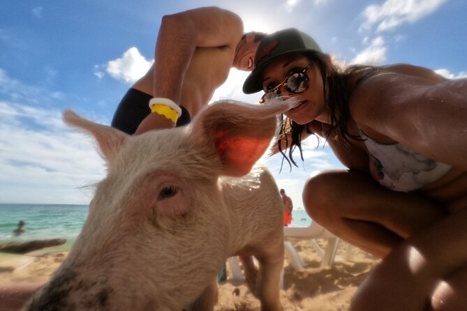 Ultimate SeaXscape Pigs/Turtles/Snorkel/Lunch/Drinks/PU/DO - Why this Nassau boat trip offers more than a beach stop