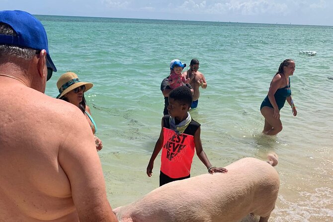 Ultimate SeaXscape Pigs/Turtles/Snorkel/Lunch/Drinks/PU/DO - Gilligan’s Island and the boat ride between stops