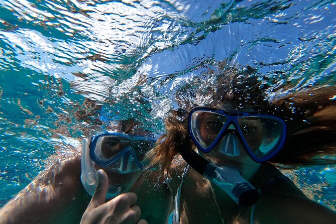 Ultimate SeaXscape Pigs/Turtles/Snorkel/Lunch/Drinks/PU/DO - What $199 really buys you