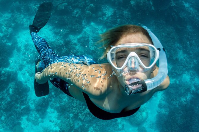 Uncharted Marine Reserve Cave, Snorkel & Cliff Jumping Kayak Tour - A two-and-a-half-hour coastal adventure from Xàbia