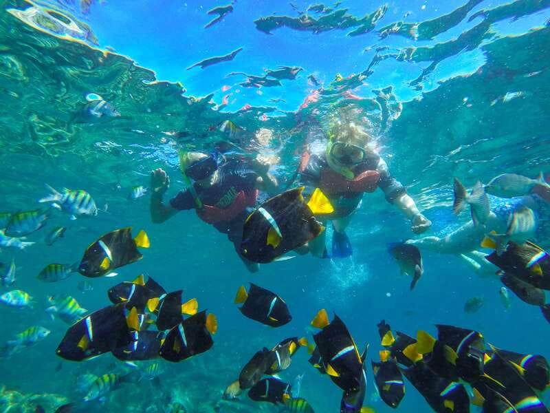 Vallarta: Yelapa Waterfall & Majahuitas Snorkel Adventure - Quick takeaways for choosing this boat trip