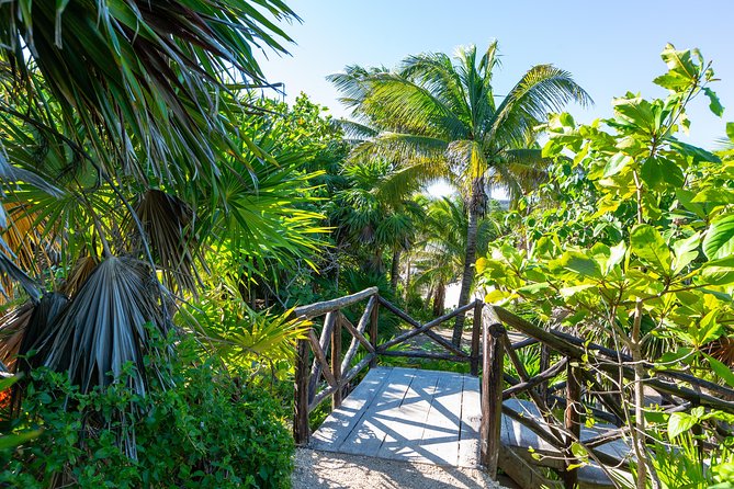 Viator Exclusive: Tulum Ruins, Reef Snorkeling, Cenote and Caves - Who will enjoy this tour most
