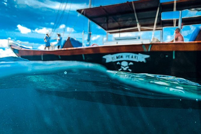 VIP Morning Delight Champagne Sailing and Snorkeling with Lunch - Who should book this Aruba sailing trip