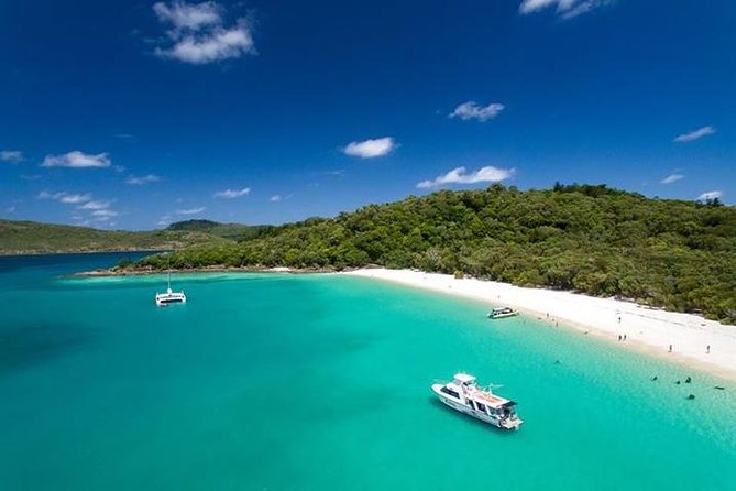 Viper: Great Barrier Reef Snorkel Including Whitehaven Hill Inlet - The Viper ride is part of the experience