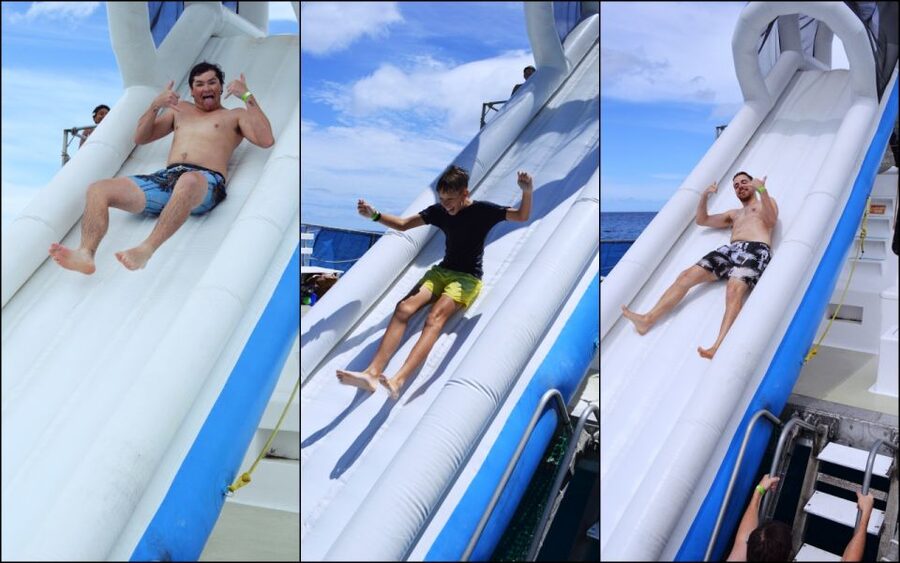 Waikiki: 5-in-1 Turtle Snorkeling Trip with Shuttle Option - Snorkeling with quality gear, but no wildlife guarantee