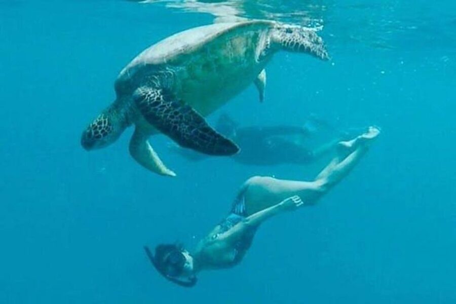 Waikiki Beach: Turtle Snorkeling and Sailing on Hāwea - Should you book this Turtle Canyon trip?